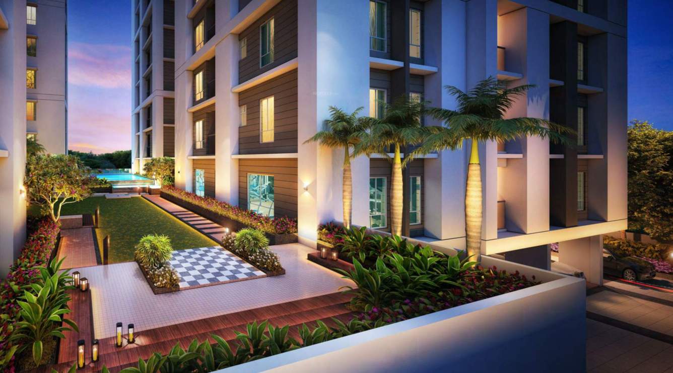  bally sky high Landscape Garden and Tree Planting