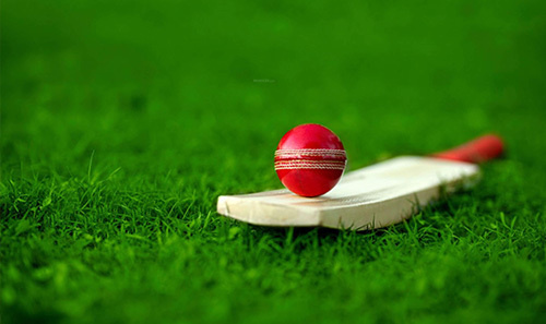  normanton-park Others