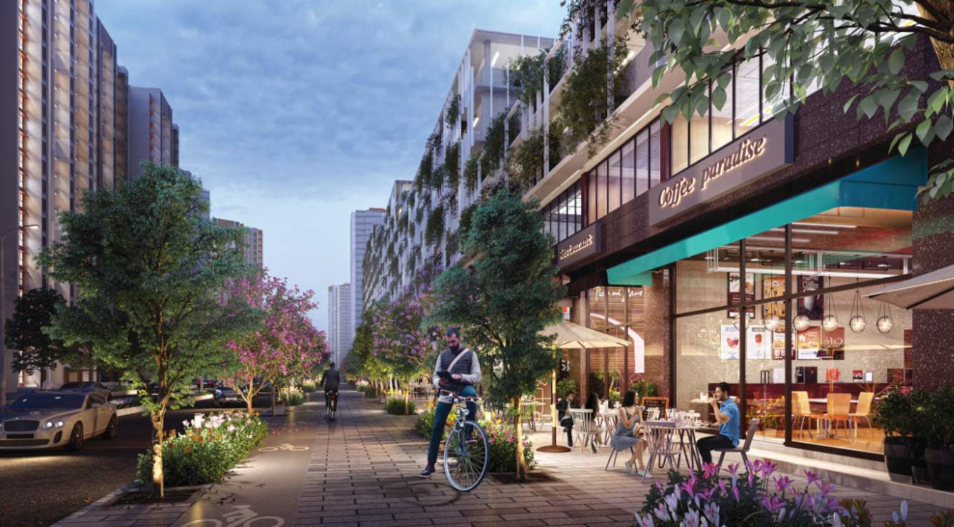  fiora a b and c Others