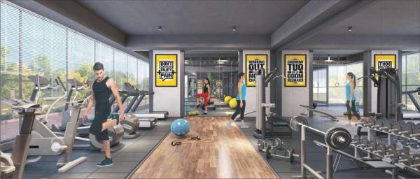  the-miracle Gymnasium