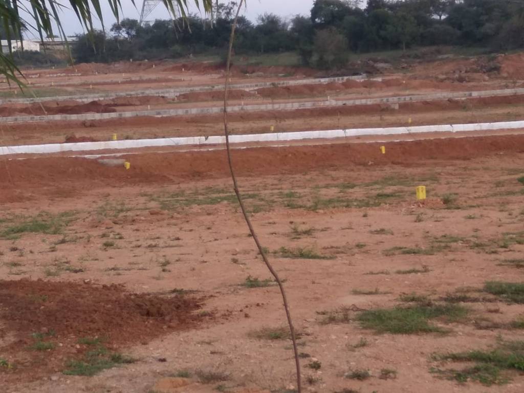  brundhavanam Plot