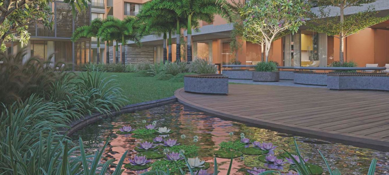  solitaire Landscape Garden and Tree Planting