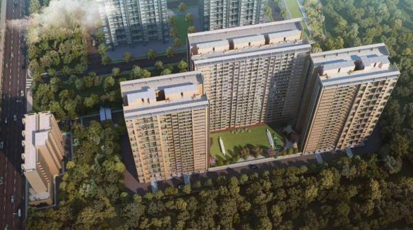 Elevation mesmer-phase-2 Elevation