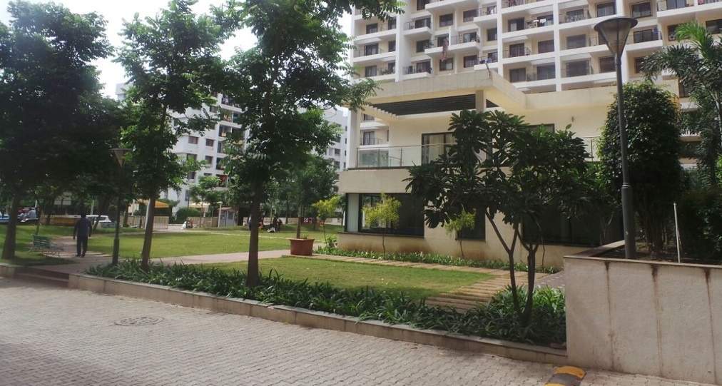  city building e Landscape Garden and Tree Planting