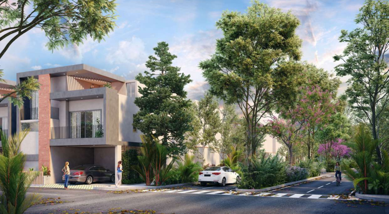  spirit of one Elevation