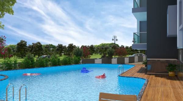  sukruth Swimming Pool