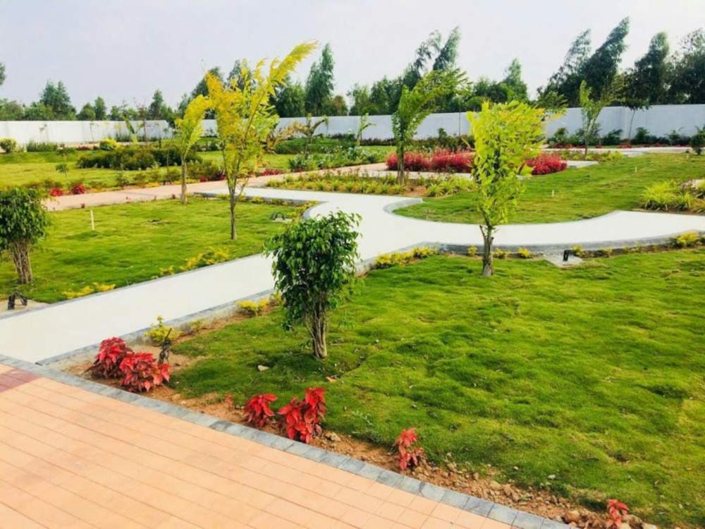  palatium sy no 41 Landscape Garden and Tree Planting