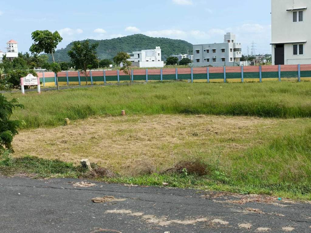  somas garden Plot