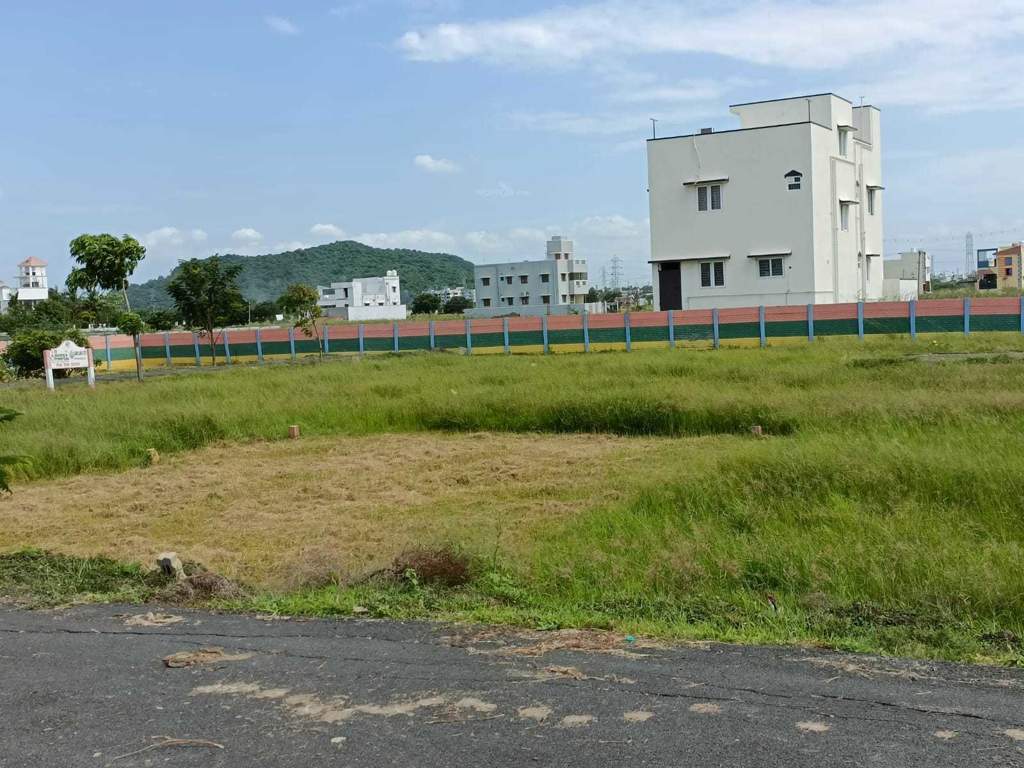  somas garden Plot