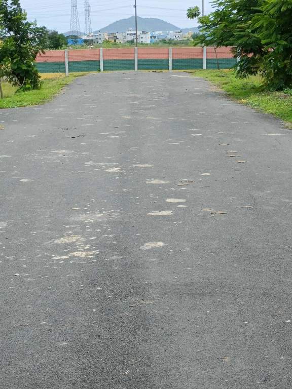  somas garden Plot