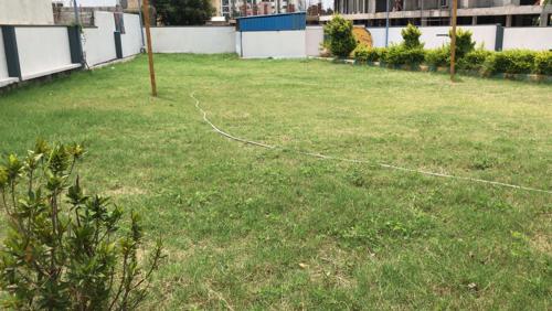  residency Landscape Garden and Tree Planting