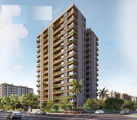 status-55 Elevation Elevation