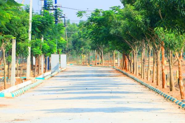  prime-city Internal Roads