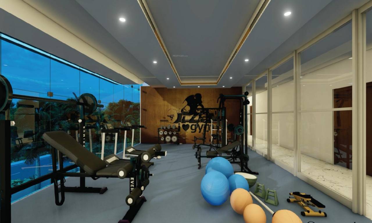  white pearl Gymnasium