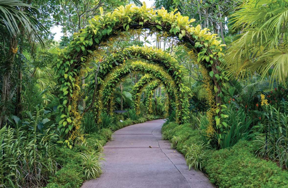  white pearl Landscape Garden and Tree Planting