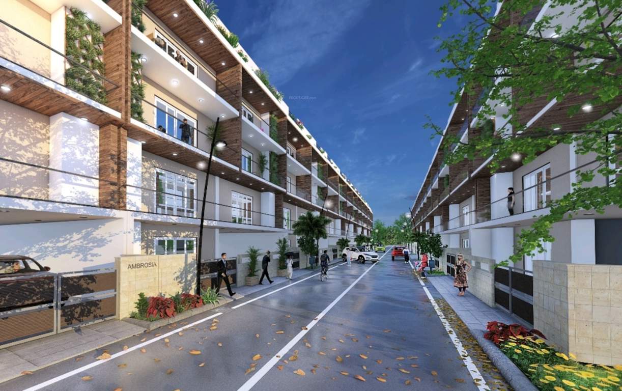  ambrosia luxury homes Elevation