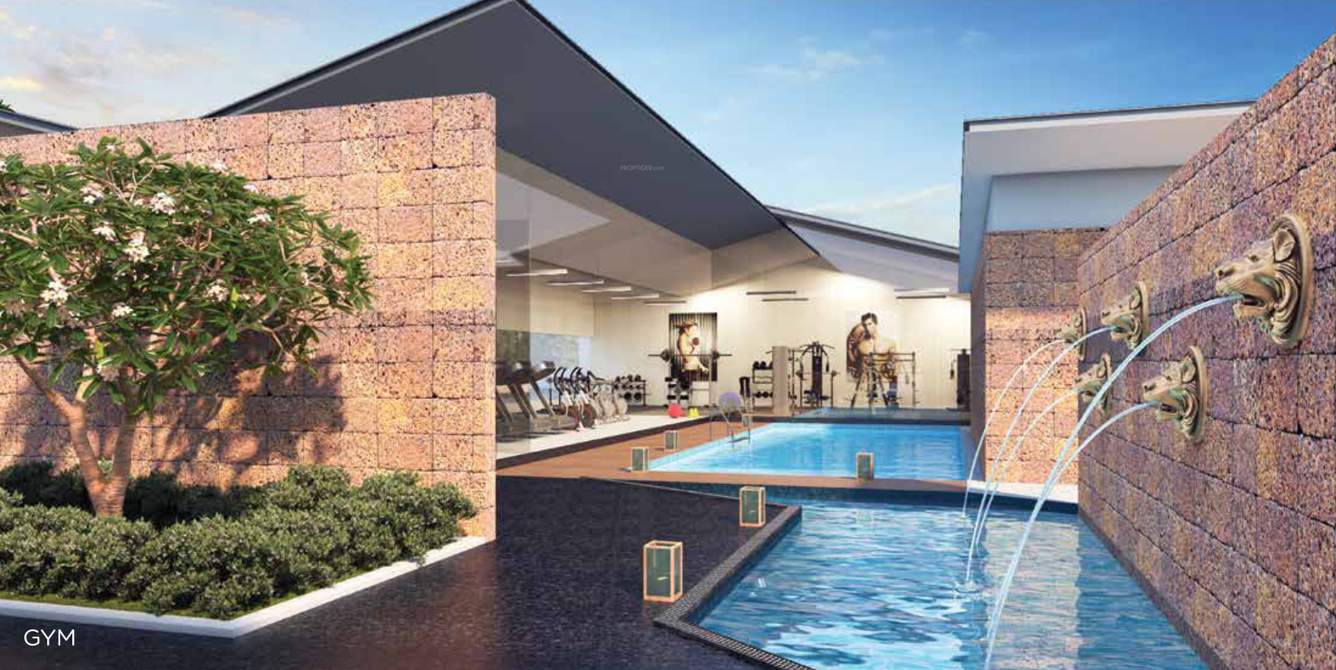  east avvenue Gymnasium