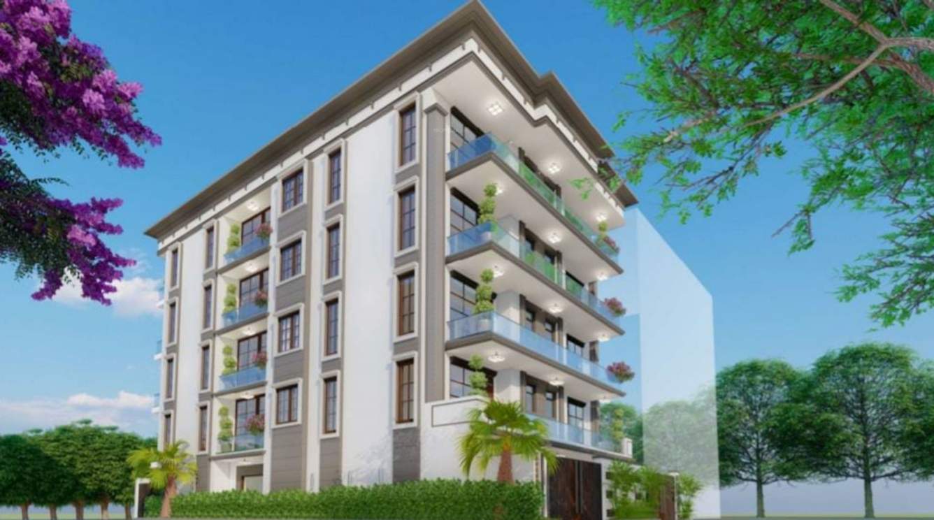  creation 2 Elevation