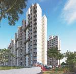 Elevation joy Elevation