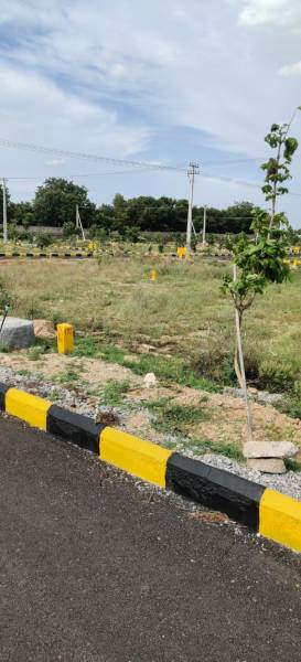  temple-town Elevation