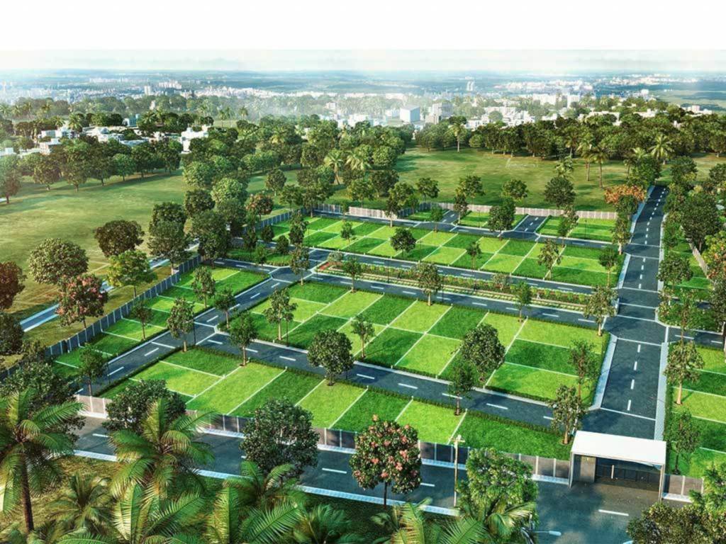  clovis phase ii Plot