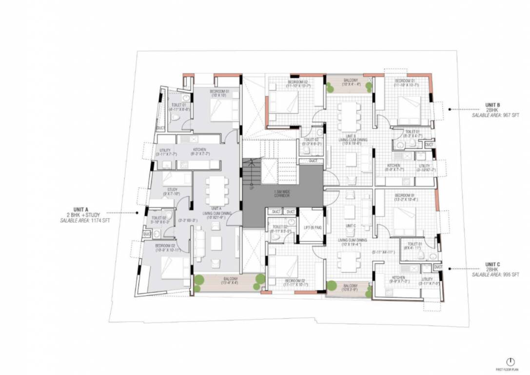  homes Homes Cluster Plan