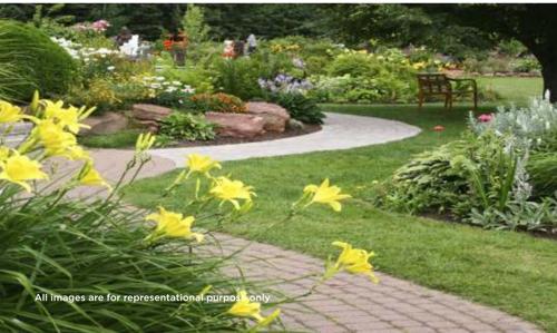  cascade-avenue-bellagio Landscape Garden and Tree Planting