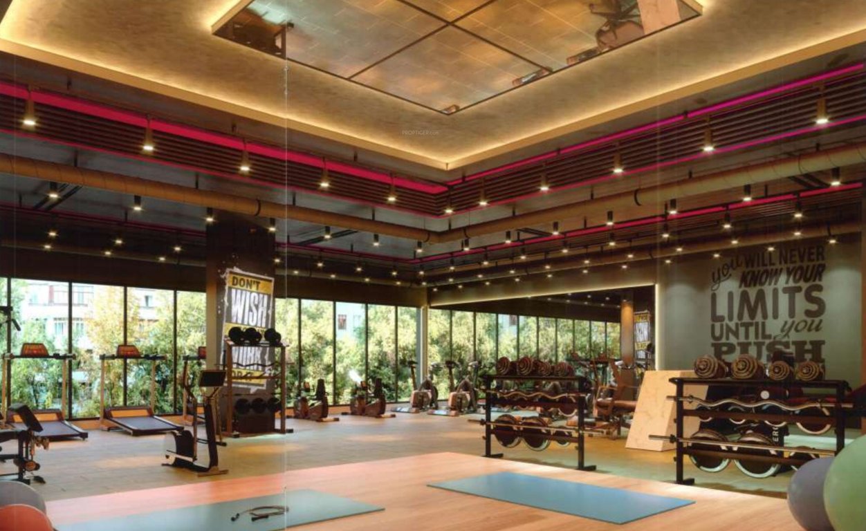  the monolith Gymnasium