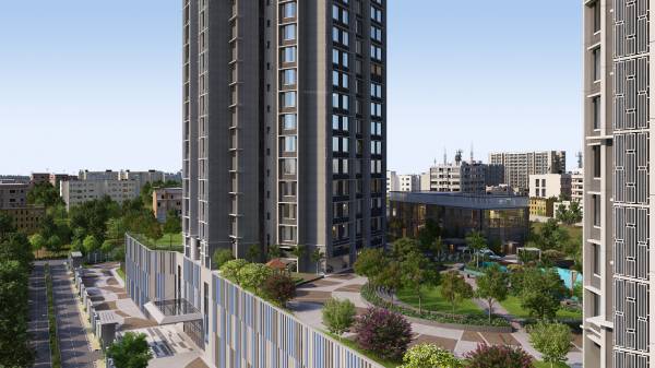  simana-wing-a-phase-1 Others