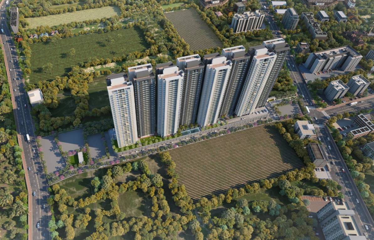  the canary phase i Elevation