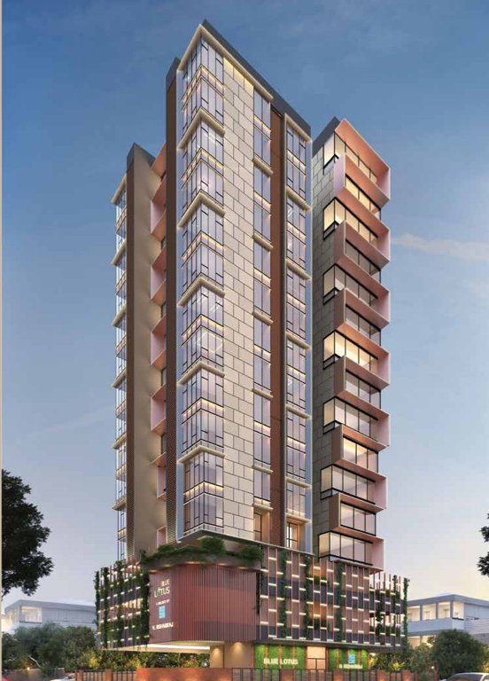  blue lotus Elevation