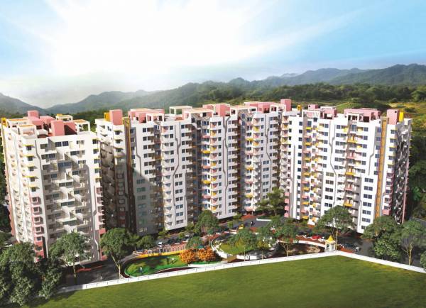  pelican-phase-c Elevation