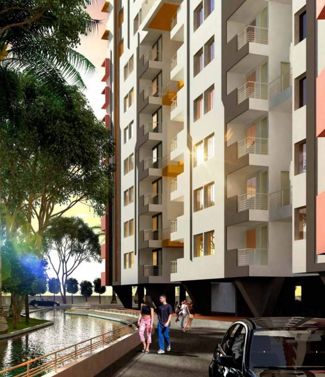  pelican phase c Others