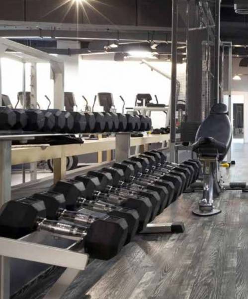 Gymnasium southbay Gymnasium