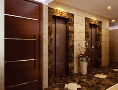  monte-verita-east-tower-phase-3 Lift(s)