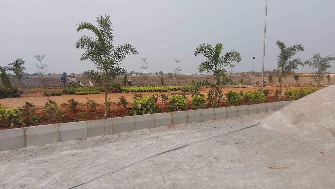  natures habitat Construction Status March 22