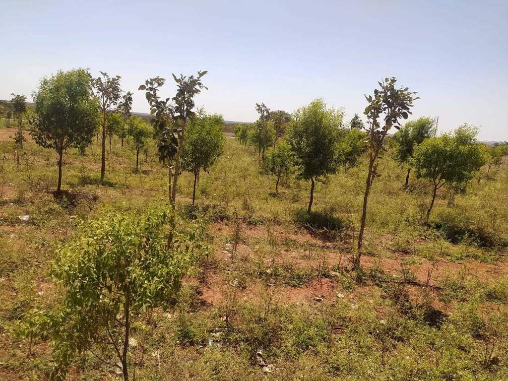  natures habitat Elevation