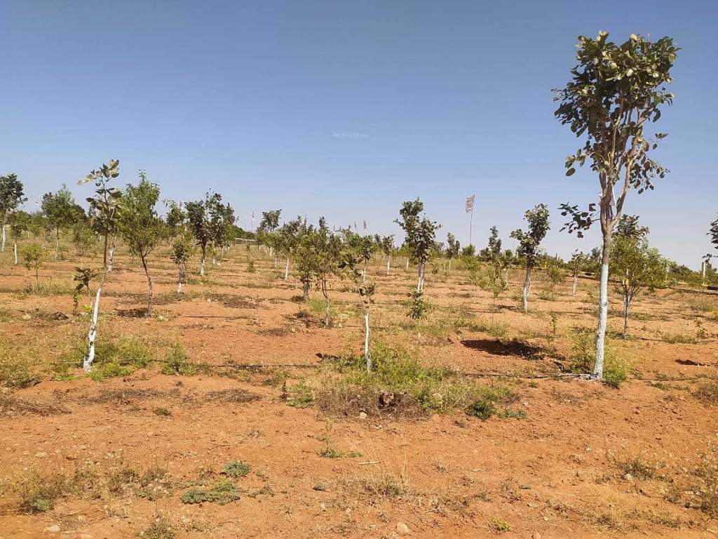  natures habitat Elevation