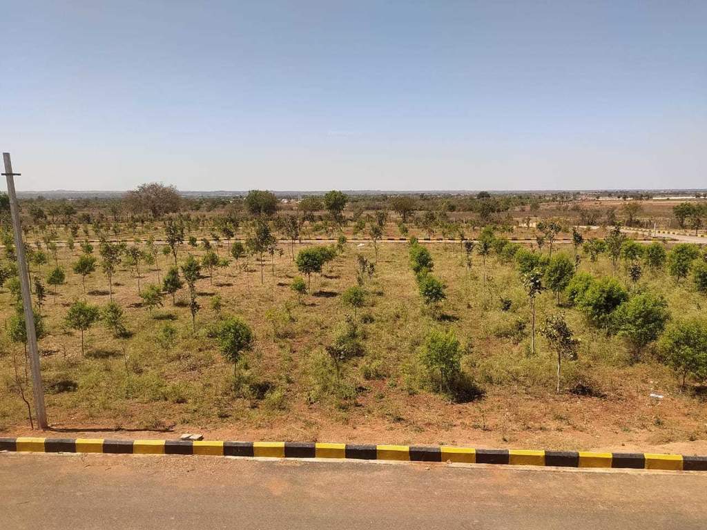  natures habitat Elevation