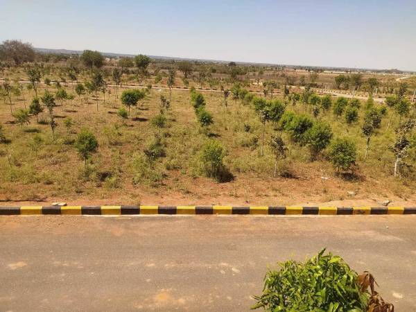  natures-habitat Elevation