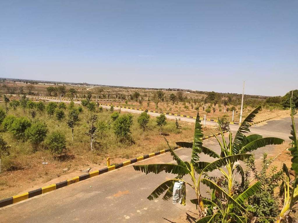  natures habitat Elevation