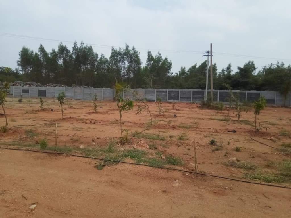  natures habitat Plot