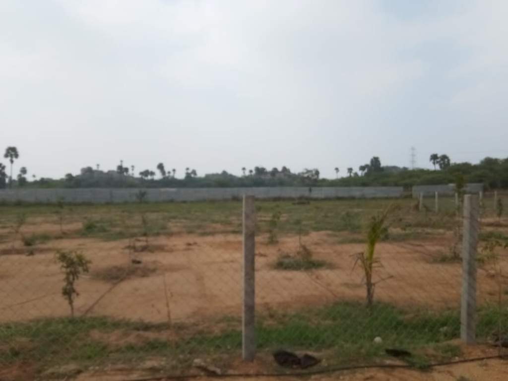  natures habitat Plot