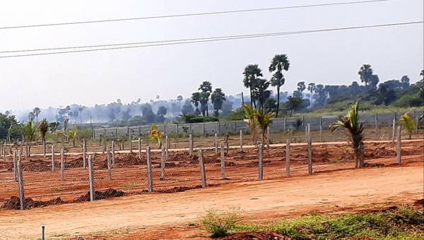  natures-habitat Plot