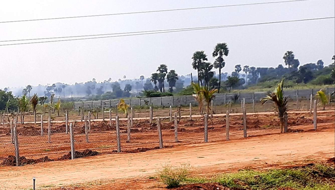  natures habitat Plot