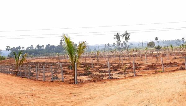  natures-habitat Plot