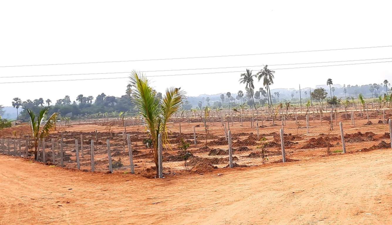  natures habitat Plot