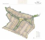  the-root Master Plan