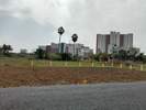 Sri Vari Thirumala Garden