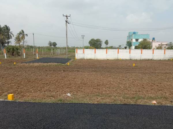  sri-vari-thirumala-garden Plot